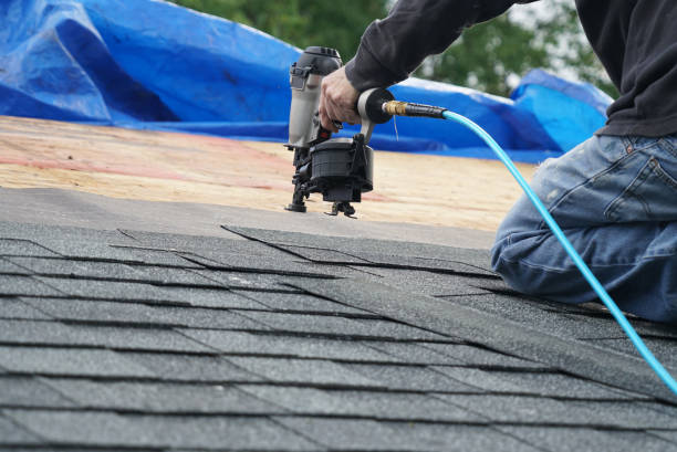 Best Roof Gutter Cleaning  in Airport, CA